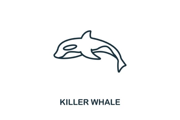 Killer Whale Vector Graphics: Integrating Marine Iconography into Professional Design Systems